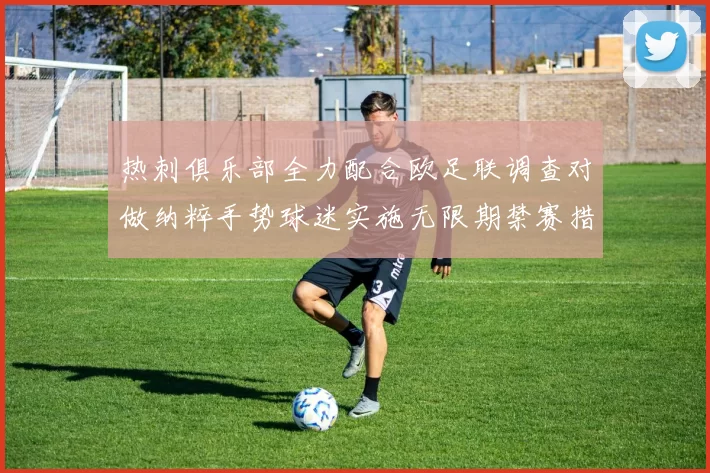 热刺俱乐部全力配合欧足联调查对做纳粹手势球迷实施无限期禁赛措施